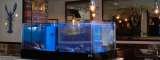  The Seafood Brasserie 39 Mount Ephraim 