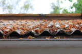  Principle Roofing Pros Akron 1700 W. Market Street Suite 227B 