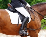 Foxhunter Tack Shop, Stouffville