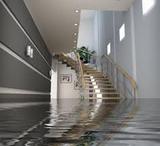 Clear Sky Water Damage of Brooklyn NY, Brooklyn