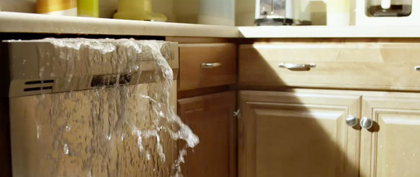  Profile Photos of Clear Sky Water Damage Brooklyn NY 456 Johnson Ave #316 - Photo 3 of 5