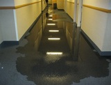  Clear Sky Water Damage Brooklyn NY 456 Johnson Ave #316 