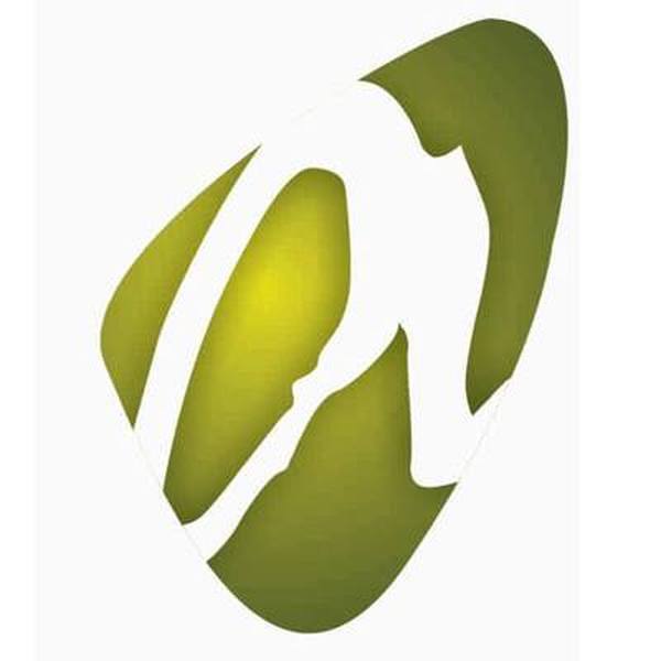  Profile Photos of Ace Training and Consulting 6-2-39, Flat No 201, 2nd Floor, Synosoft Building,Lakdikapool - Photo 1 of 1