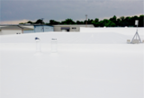  Puma Commercial Roofing 20 Bonham Rd 