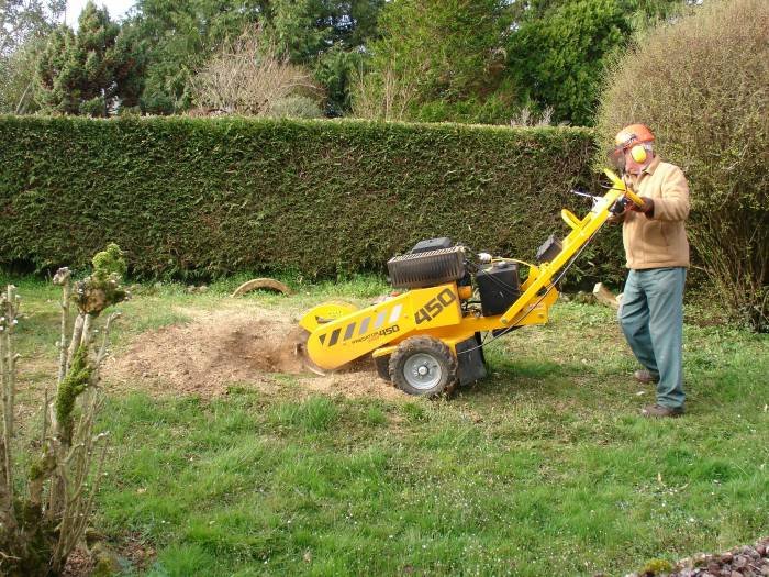                                 New Album of David Cropper stump grinding and jungle busting services. Rue Marcel Chapon - Photo 3 of 4