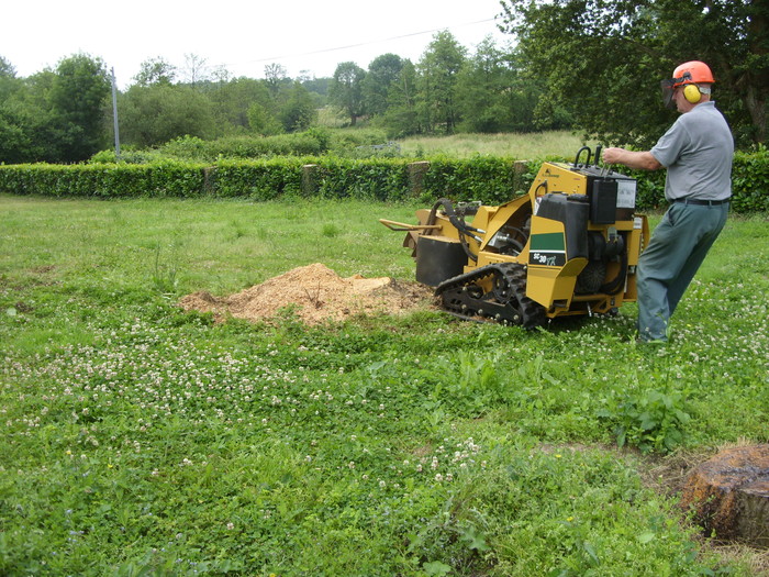 New Album of David Cropper stump grinding and jungle busting services. Rue Marcel Chapon - Photo 2 of 4