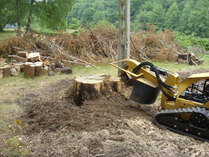  New Album of David Cropper stump grinding and jungle busting services. Rue Marcel Chapon - Photo 4 of 4
