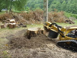 David Cropper stump grinding and jungle busting services., TaizÃ© Aizie