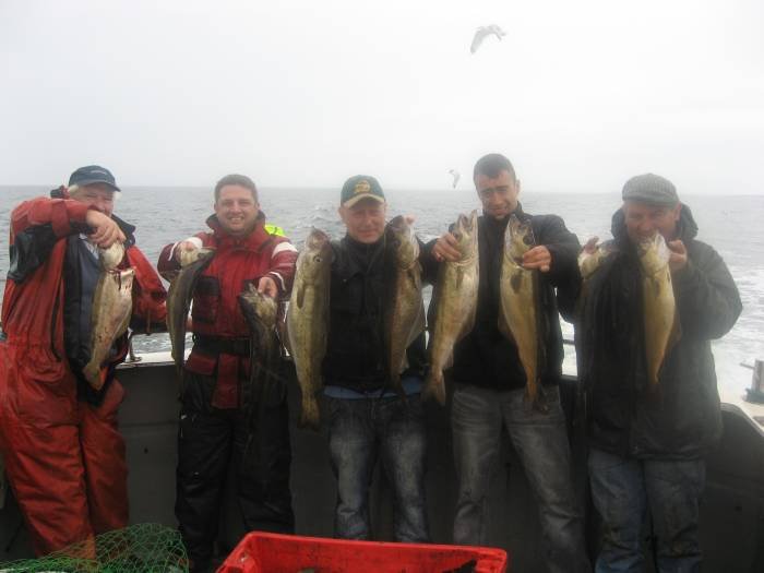  Profile Photos of Tommy McCallion's Sea Angling Rosses Point - Photo 18 of 82