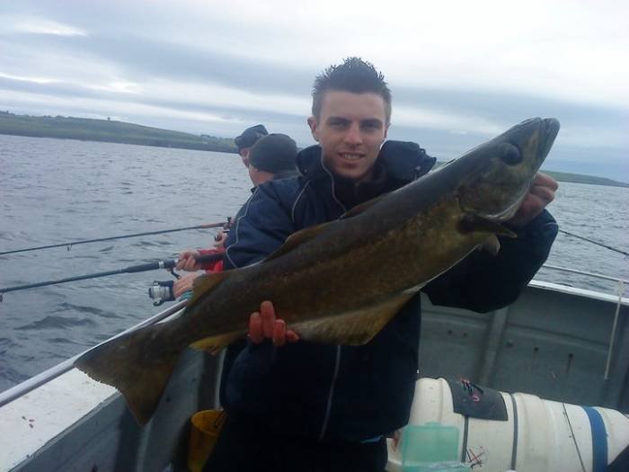  Profile Photos of Tommy McCallion's Sea Angling Rosses Point - Photo 17 of 82