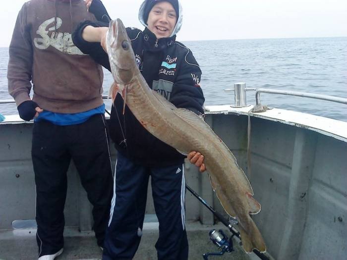  Profile Photos of Tommy McCallion's Sea Angling Rosses Point - Photo 32 of 82