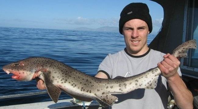  Profile Photos of Tommy McCallion's Sea Angling Rosses Point - Photo 21 of 82