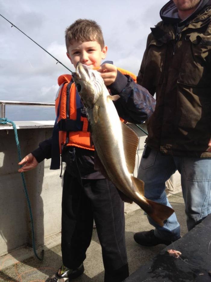  Profile Photos of Tommy McCallion's Sea Angling Rosses Point - Photo 20 of 82