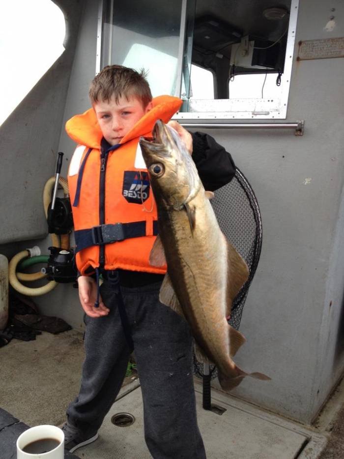  Profile Photos of Tommy McCallion's Sea Angling Rosses Point - Photo 65 of 82