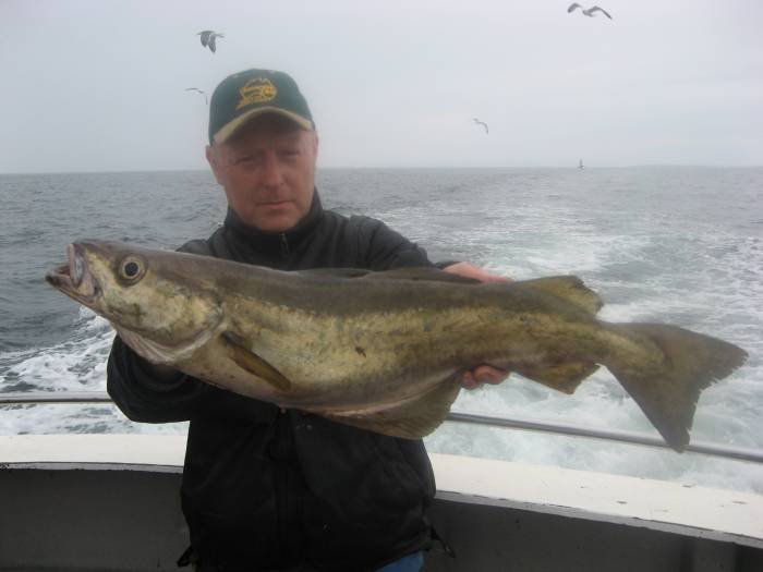  Profile Photos of Tommy McCallion's Sea Angling Rosses Point - Photo 64 of 82