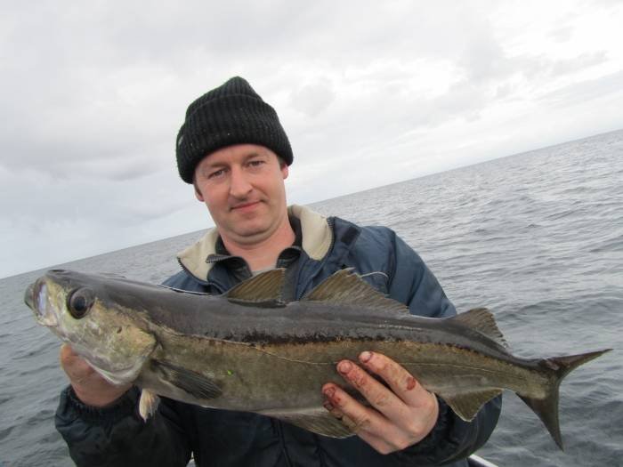  Profile Photos of Tommy McCallion's Sea Angling Rosses Point - Photo 70 of 82