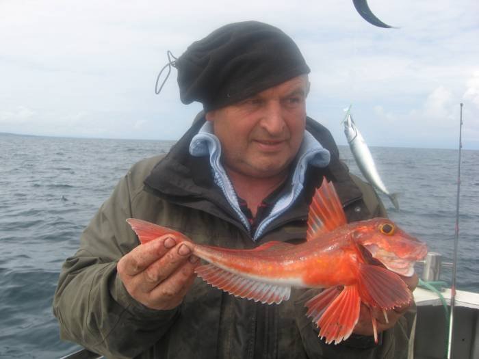  Profile Photos of Tommy McCallion's Sea Angling Rosses Point - Photo 74 of 82