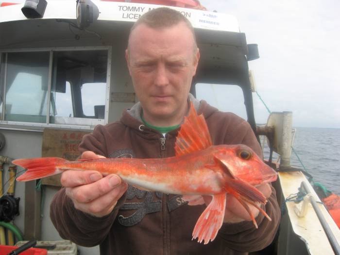  Profile Photos of Tommy McCallion's Sea Angling Rosses Point - Photo 63 of 82