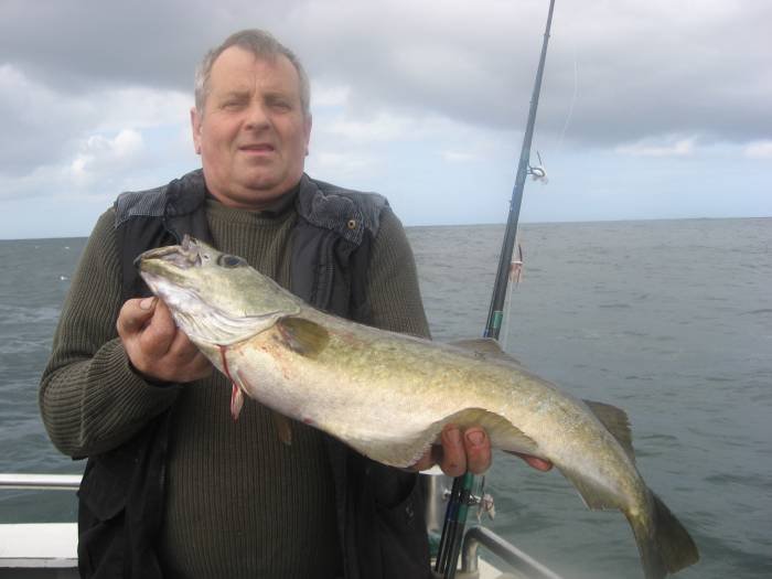  Profile Photos of Tommy McCallion's Sea Angling Rosses Point - Photo 59 of 82
