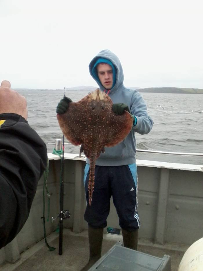  Profile Photos of Tommy McCallion's Sea Angling Rosses Point - Photo 78 of 82