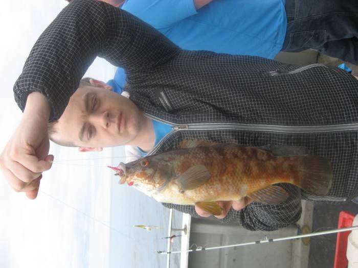 Profile Photos of Tommy McCallion's Sea Angling Rosses Point - Photo 77 of 82