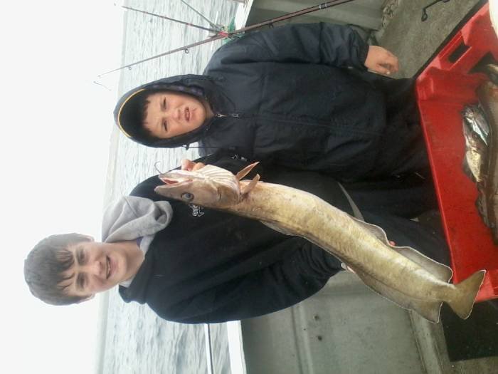  Profile Photos of Tommy McCallion's Sea Angling Rosses Point - Photo 75 of 82