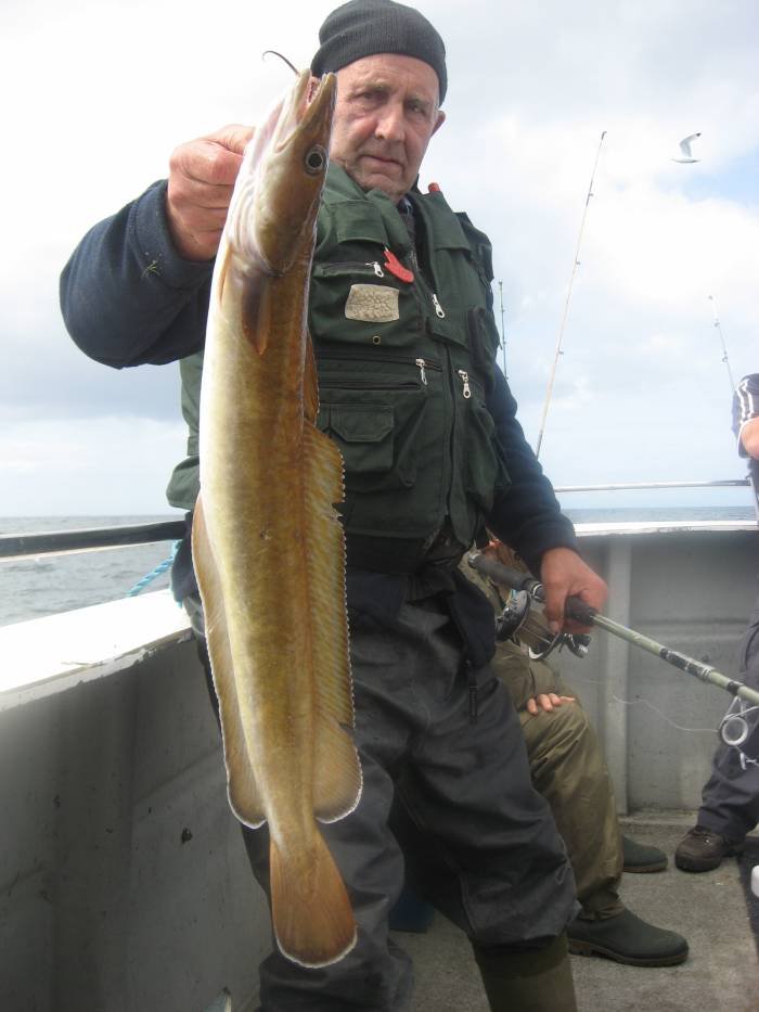  Profile Photos of Tommy McCallion's Sea Angling Rosses Point - Photo 60 of 82
