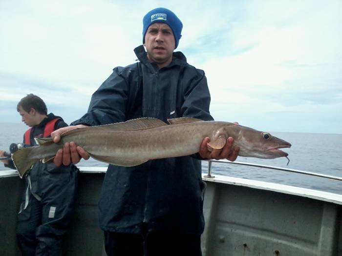  Profile Photos of Tommy McCallion's Sea Angling Rosses Point - Photo 79 of 82
