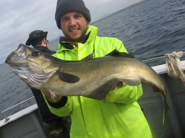  Profile Photos of Tommy McCallion's Sea Angling Rosses Point - Photo 61 of 82