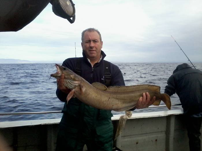  Profile Photos of Tommy McCallion's Sea Angling Rosses Point - Photo 43 of 82