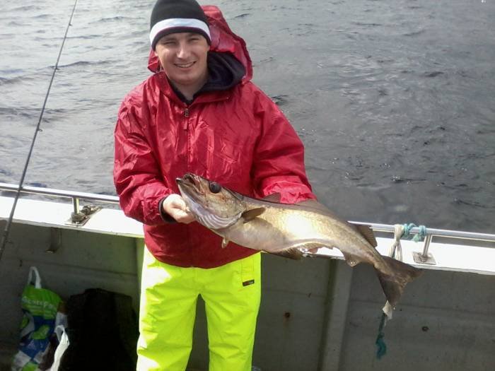  Profile Photos of Tommy McCallion's Sea Angling Rosses Point - Photo 62 of 82