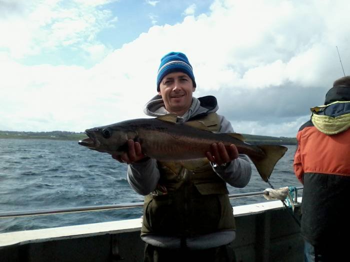  Profile Photos of Tommy McCallion's Sea Angling Rosses Point - Photo 49 of 82