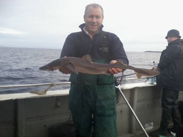  Profile Photos of Tommy McCallion's Sea Angling Rosses Point - Photo 48 of 82
