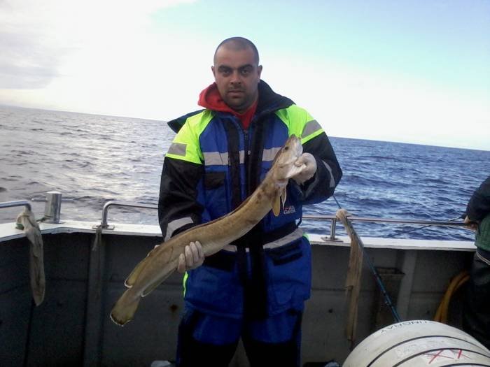  Profile Photos of Tommy McCallion's Sea Angling Rosses Point - Photo 46 of 82
