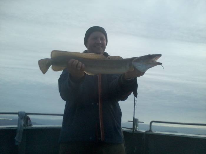  Profile Photos of Tommy McCallion's Sea Angling Rosses Point - Photo 42 of 82