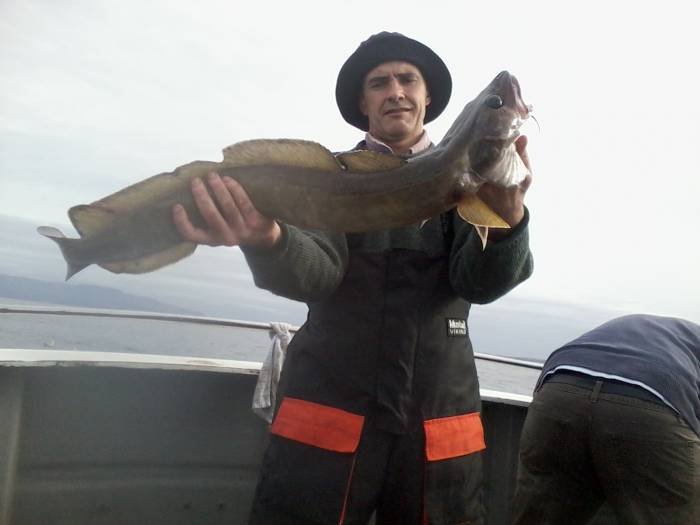 Profile Photos of Tommy McCallion's Sea Angling Rosses Point - Photo 52 of 82