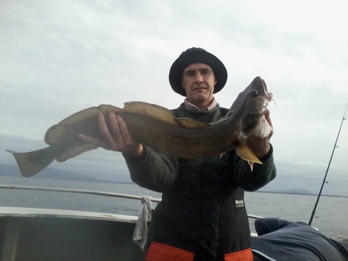  Profile Photos of Tommy McCallion's Sea Angling Rosses Point - Photo 51 of 82