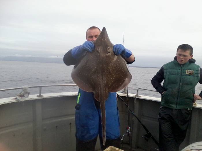  Profile Photos of Tommy McCallion's Sea Angling Rosses Point - Photo 54 of 82