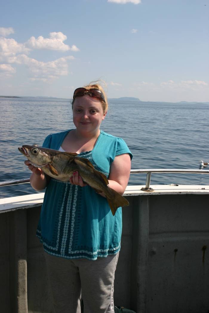  Profile Photos of Tommy McCallion's Sea Angling Rosses Point - Photo 11 of 82