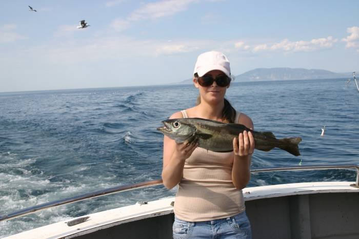  Profile Photos of Tommy McCallion's Sea Angling Rosses Point - Photo 9 of 82