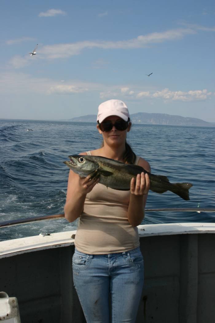  Profile Photos of Tommy McCallion's Sea Angling Rosses Point - Photo 8 of 82