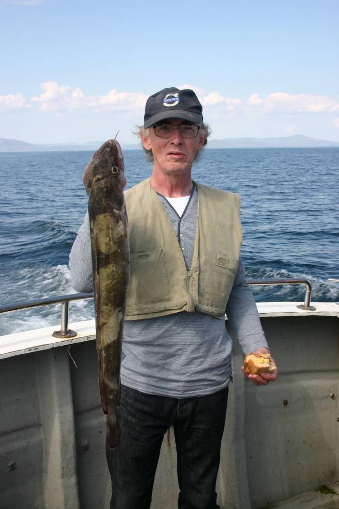  Profile Photos of Tommy McCallion's Sea Angling Rosses Point - Photo 6 of 82