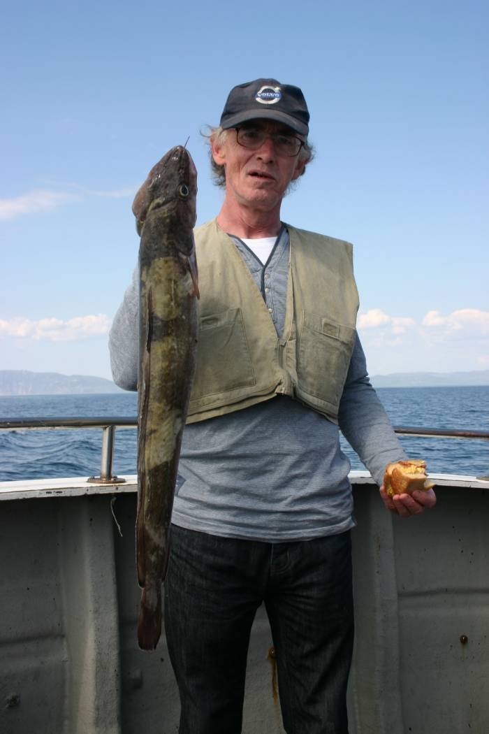  Profile Photos of Tommy McCallion's Sea Angling Rosses Point - Photo 5 of 82