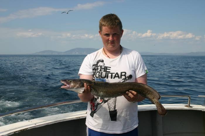  Profile Photos of Tommy McCallion's Sea Angling Rosses Point - Photo 41 of 82