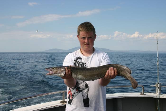  Profile Photos of Tommy McCallion's Sea Angling Rosses Point - Photo 40 of 82
