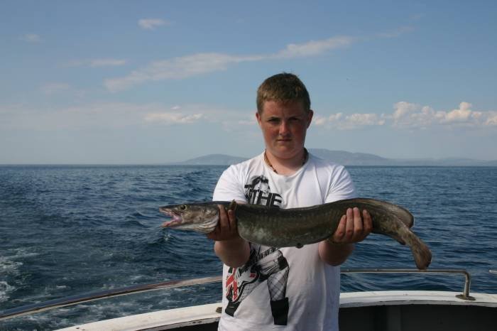  Profile Photos of Tommy McCallion's Sea Angling Rosses Point - Photo 39 of 82