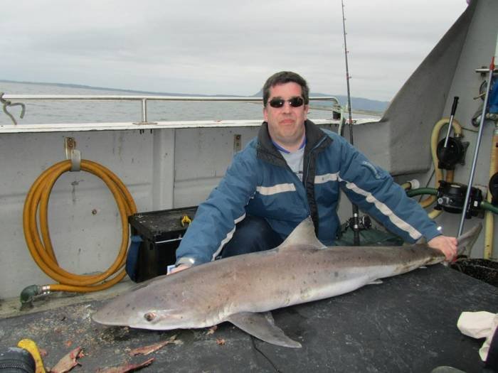  Profile Photos of Tommy McCallion's Sea Angling Rosses Point - Photo 27 of 82