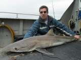 Tommy McCallion's Sea Angling, Sligo