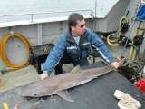 Tommy McCallion's Sea Angling, Sligo