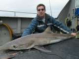 Tommy McCallion's Sea Angling, Sligo